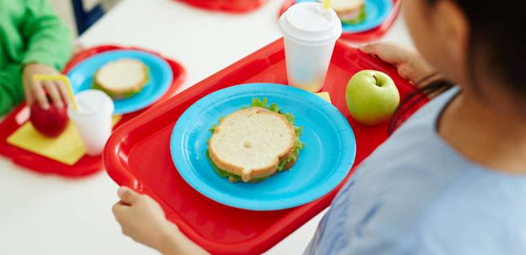 Schools and Nurseries
